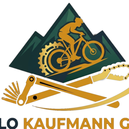 Man sieht ein Fahrrad, das einen Berg hochfährt im Zeichenstil